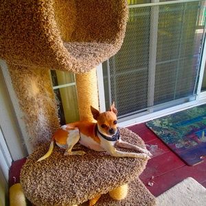 Meet your Posher, Fatima